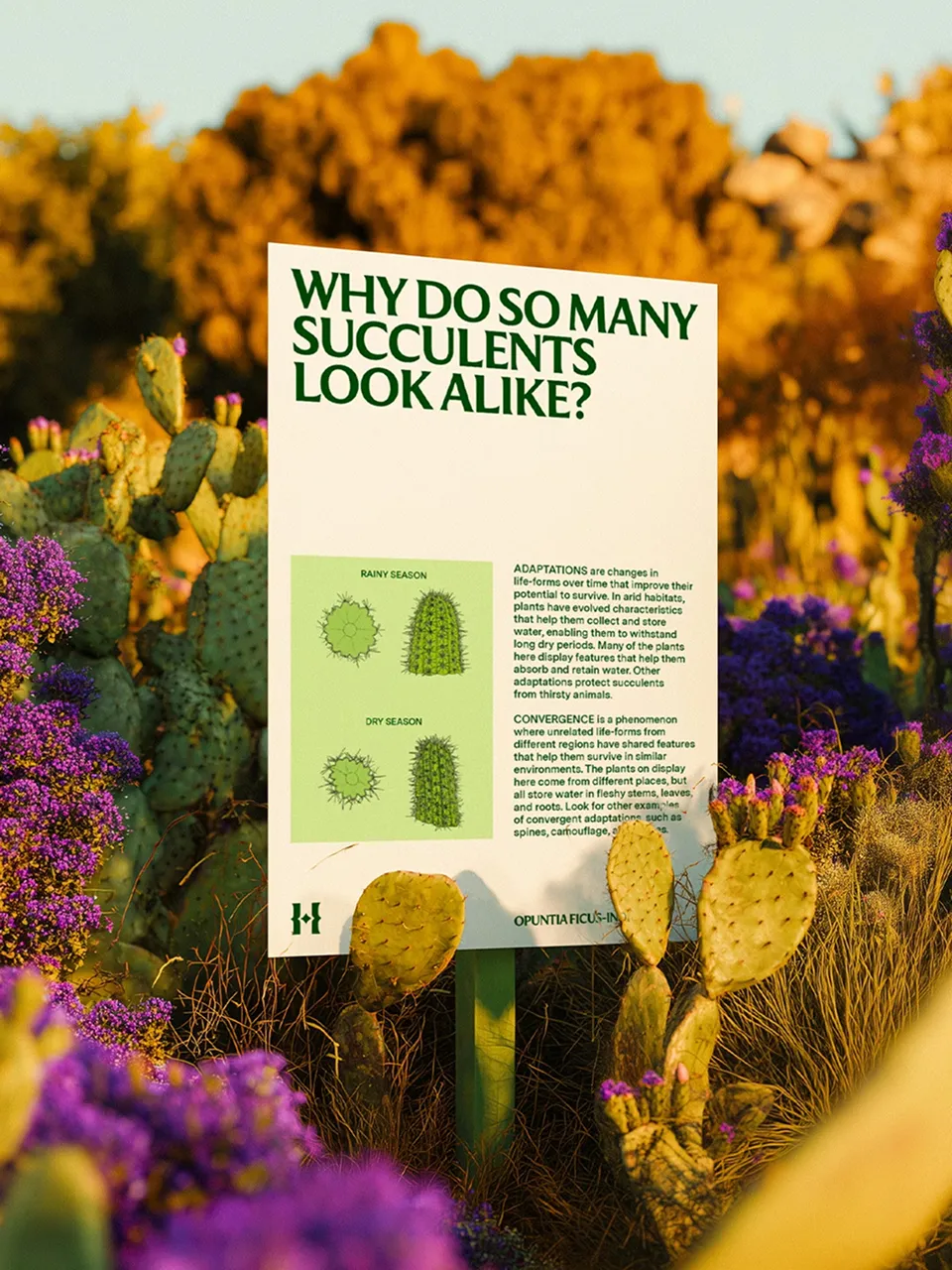 The Huntington 리브랜딩 적용 예시